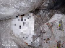 Zaledwie dwa dni zajęło Straży Leśnej ustalenie właściciela śmieci wyrzuconych do lasu.