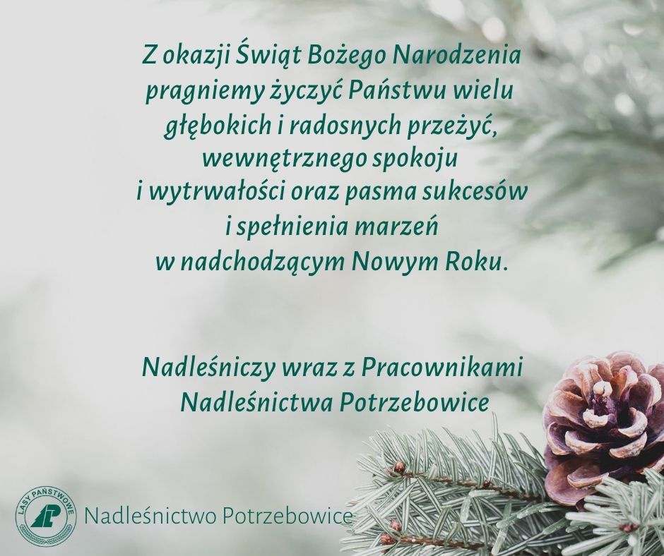 WESOŁYCH ŚWIĄT BOŻEGO NARODZENIA