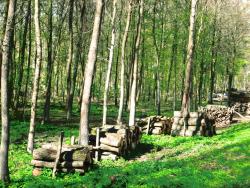 fot. Gracjan Dąbkowski "Stosy" - wyróżnienie