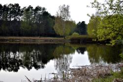 fot. Dominika Telak "Obraz malowany naturą" - miejsce I