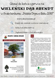 Finał konkursu "Polskie Drzewo Roku 2019"